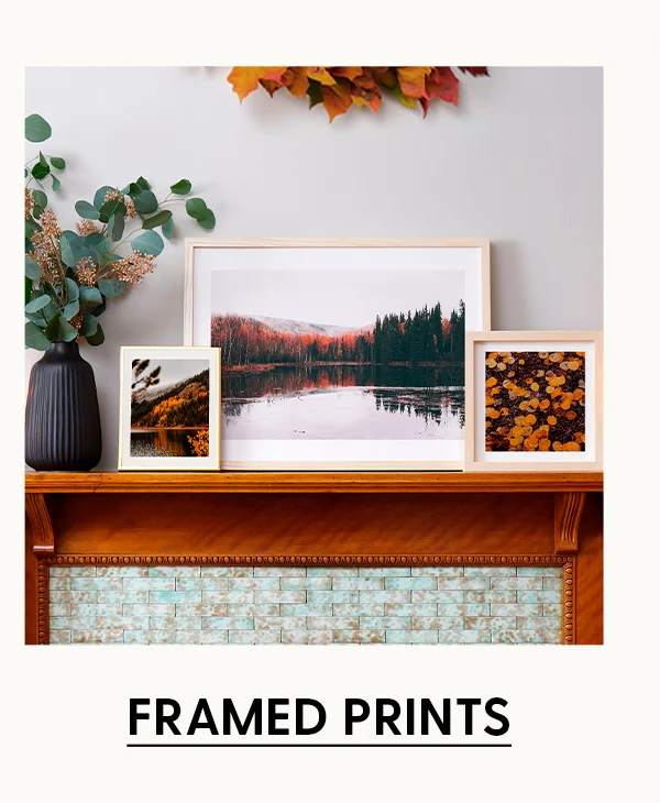Shop Framed Prints