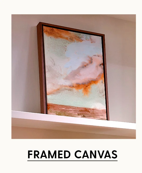 Shop Framed Canvas