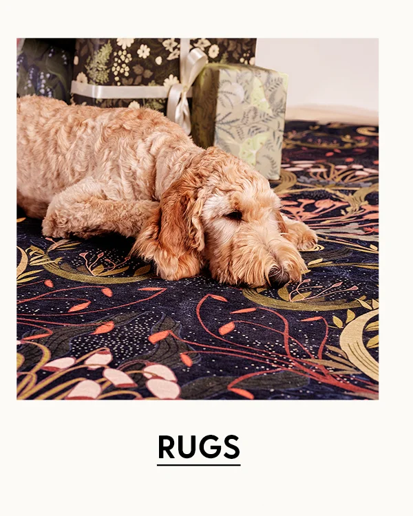 Shop Rugs