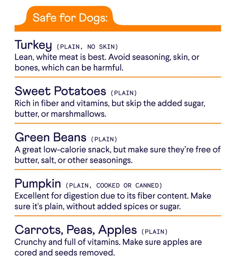 Safe for Dogs: Plain Turkey, plain sweet potatoes, plain green beands, pumpkin, carrots, peas & apples