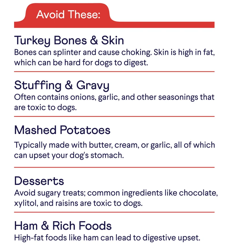 Avoid These: Turkey Bones & Skin, Stuffing & Gravy, Mashed Potatoes, Desserts, Ham & Rich Foods