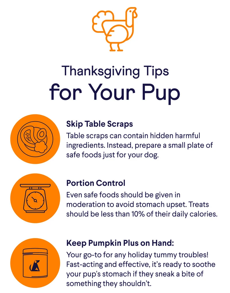 Thanksgiving Tips for Your Pup: Skip Table Scraps – Table scraps can contain hidden harmful ingredients. Instead, prepare a small plate of safe foods just for your dog. Portion Control – Even safe foods should be given in moderation to avoid stomach upset. Treats should be less than 10% of their daily calories. Keep Pumpkin Plus on Hand: Your go-to for any holiday tummy troubles! Fast-acting and effective, it’s ready to soothe your pup's stomach if they sneak a bite of something they shouldn’t.