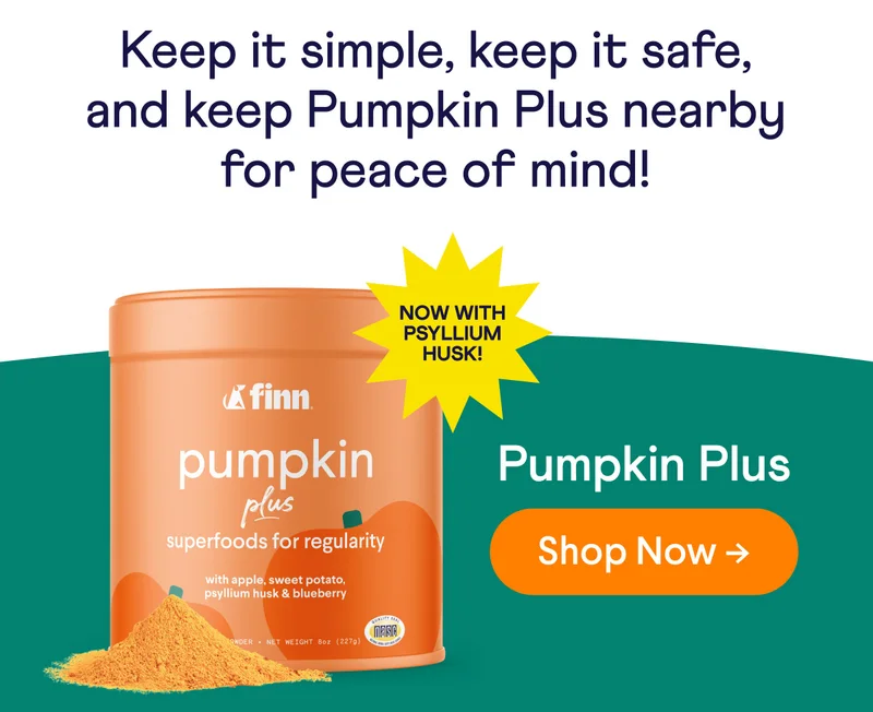 Keep it simple, keep it safe, and keep Pumpkin Plus nearby for peace of mind! Now with Psyllium Husk | Shop Now –>