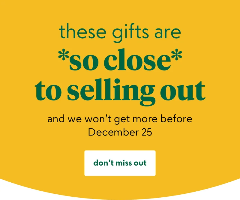 shop now