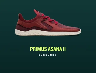 SHOP PRIMUS ASANA II