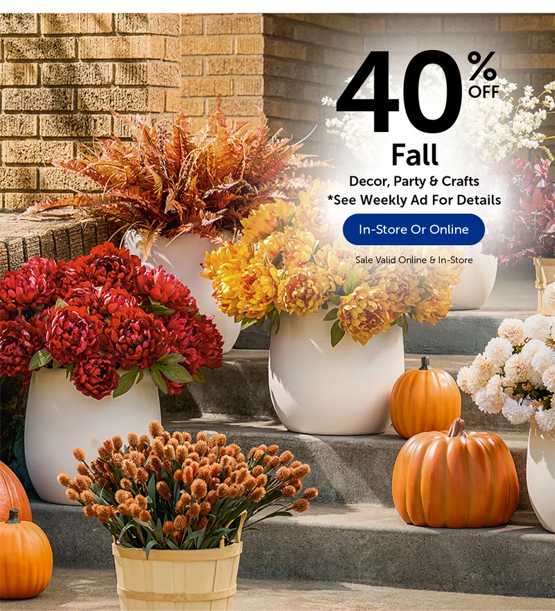 40% Off Fall - Decor, Party & More