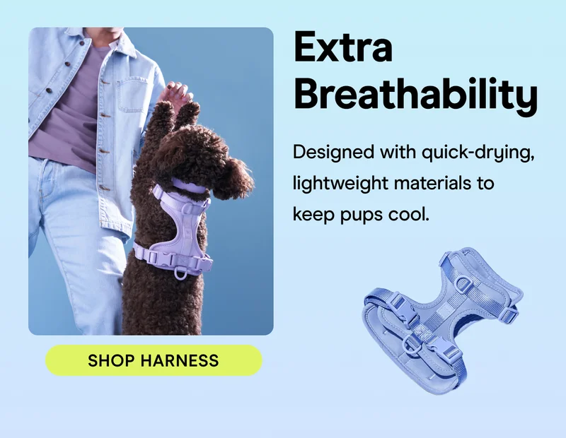 Extra Breathability Designed with quick-drying, lightweight materials to keep pups cool.