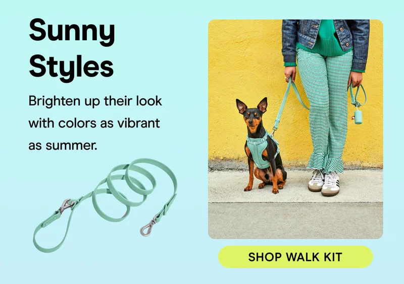 Sunny Styles Brighten up their look with colors as vibrant as summer.