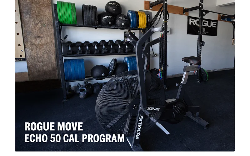 Rogue Move - Echo 50 Cal Program (eBook)