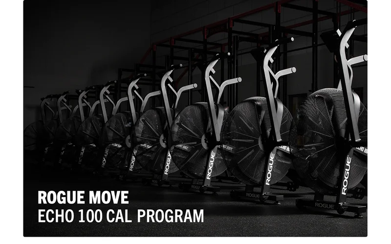 Rogue Move - Echo 100 Cal Program (eBook)