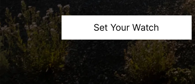 Set Your Watch
