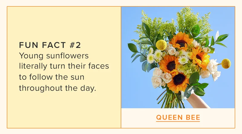 FACT #2: Young sunflowers literally turn their faces to follow the sun throughout the day. Featured Bouq: Queen Bee.