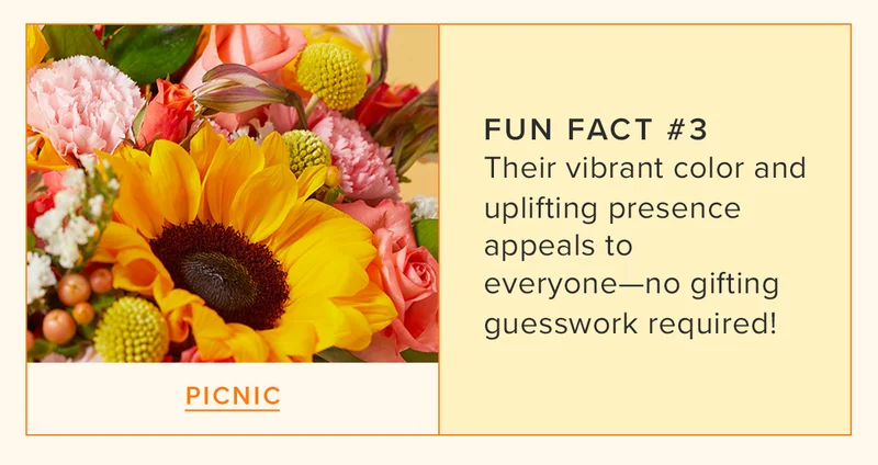 FUN FACT #3: Their vibrant color and uplifting presence appeals to everyone—no gifting guesswork required! Featured Bouq: Picnic