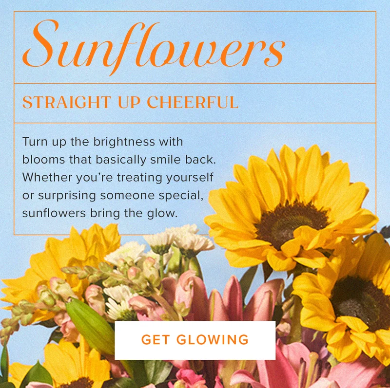 Sunflowers: straight up cheerful! Turn up the brightness with  blooms that basically smile back.  Whether you're treating yourself  or surprising someone special,  sunflowers bring the glow.&nbsp;GET GLOWING