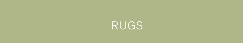 Shop Rugs