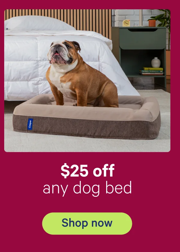 $25 off any dog bed