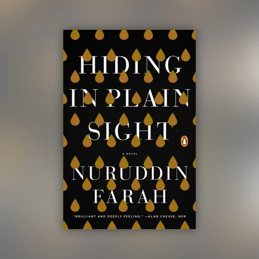 Hiding in Plain Sight