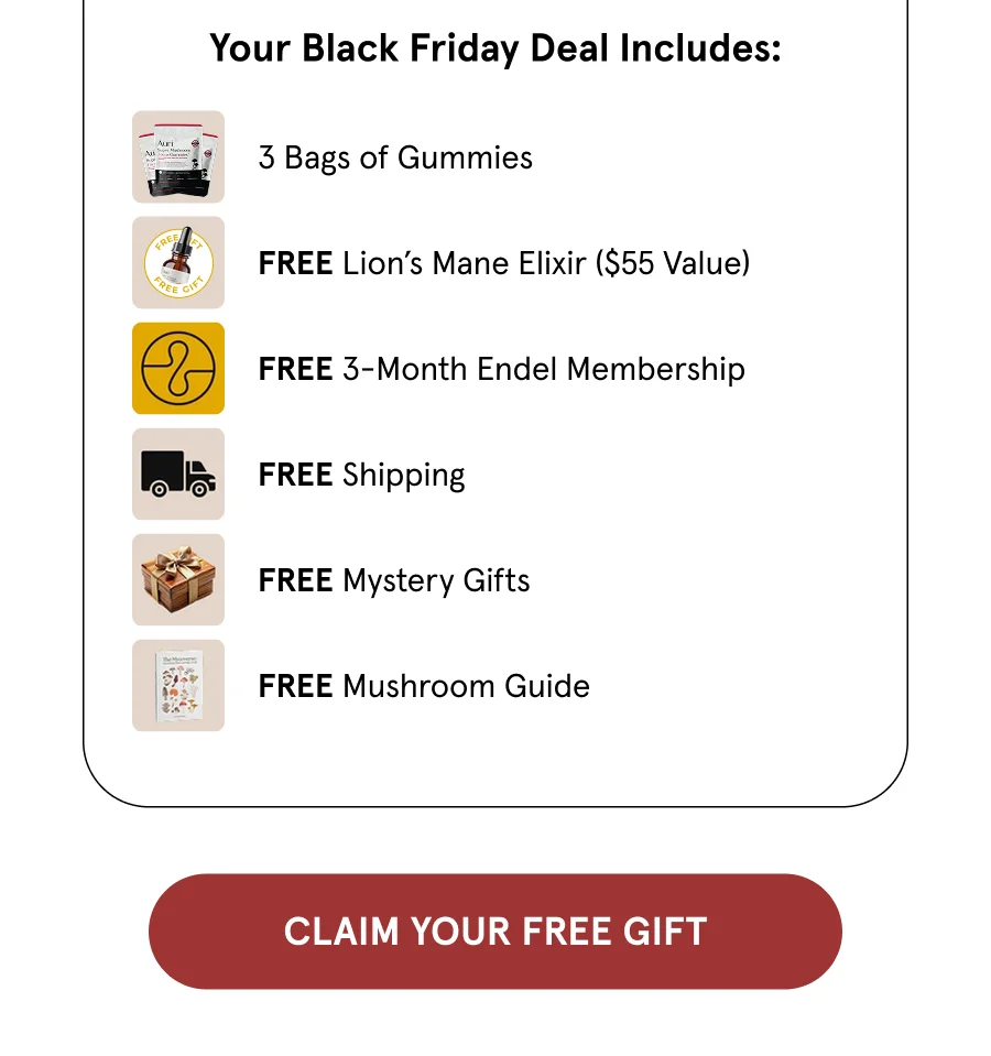 Your Black Friday deal includes: