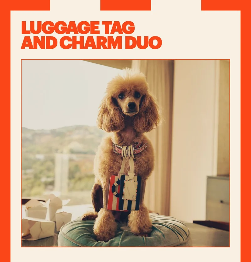 Luggage Tag and Charm Duos