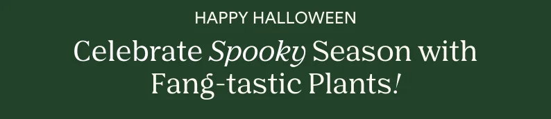 happy halloween! celebrate spooky season with fang-tastic plants!