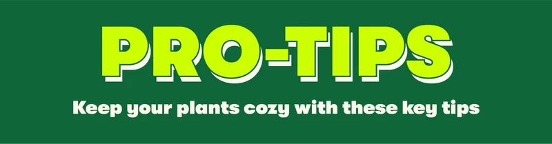 PRO-TIPS Keep your plants cozy with these key tips