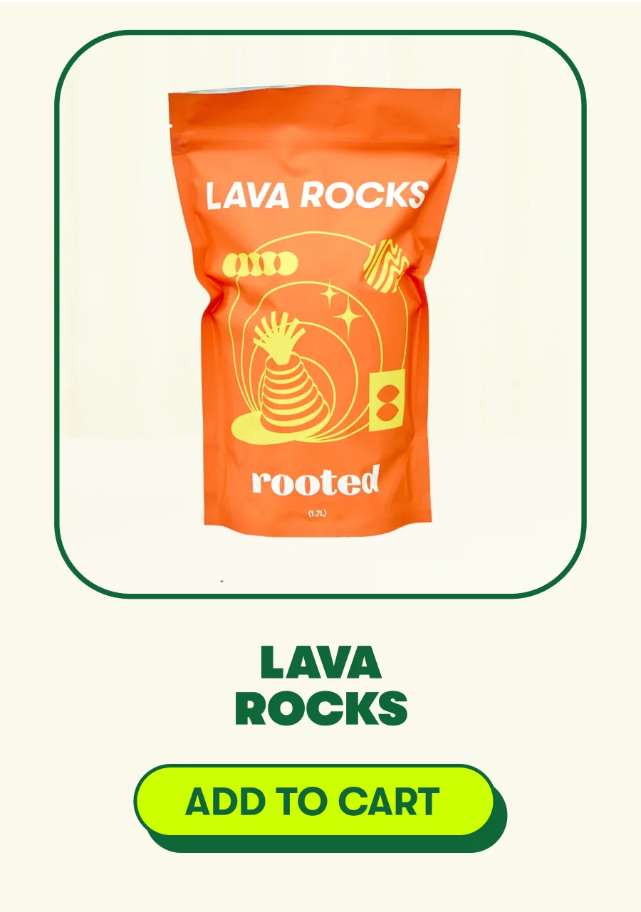Lava Rocks [ADD TO CART]