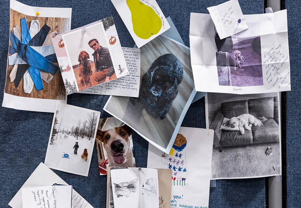 Photos and letters from customers pinned to the wall.