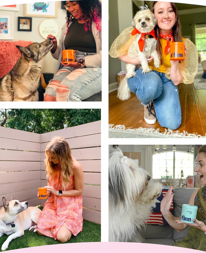 Photo collage of real Finn dog moms with their pups and fave tins