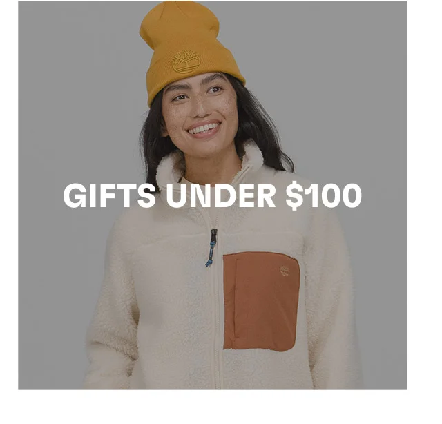 Gifts Under $100