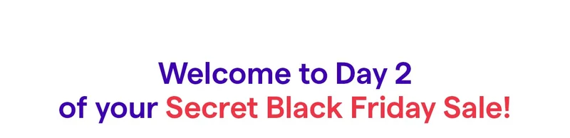 Welcome to Day 2 of Your Secret Black Friday Sale