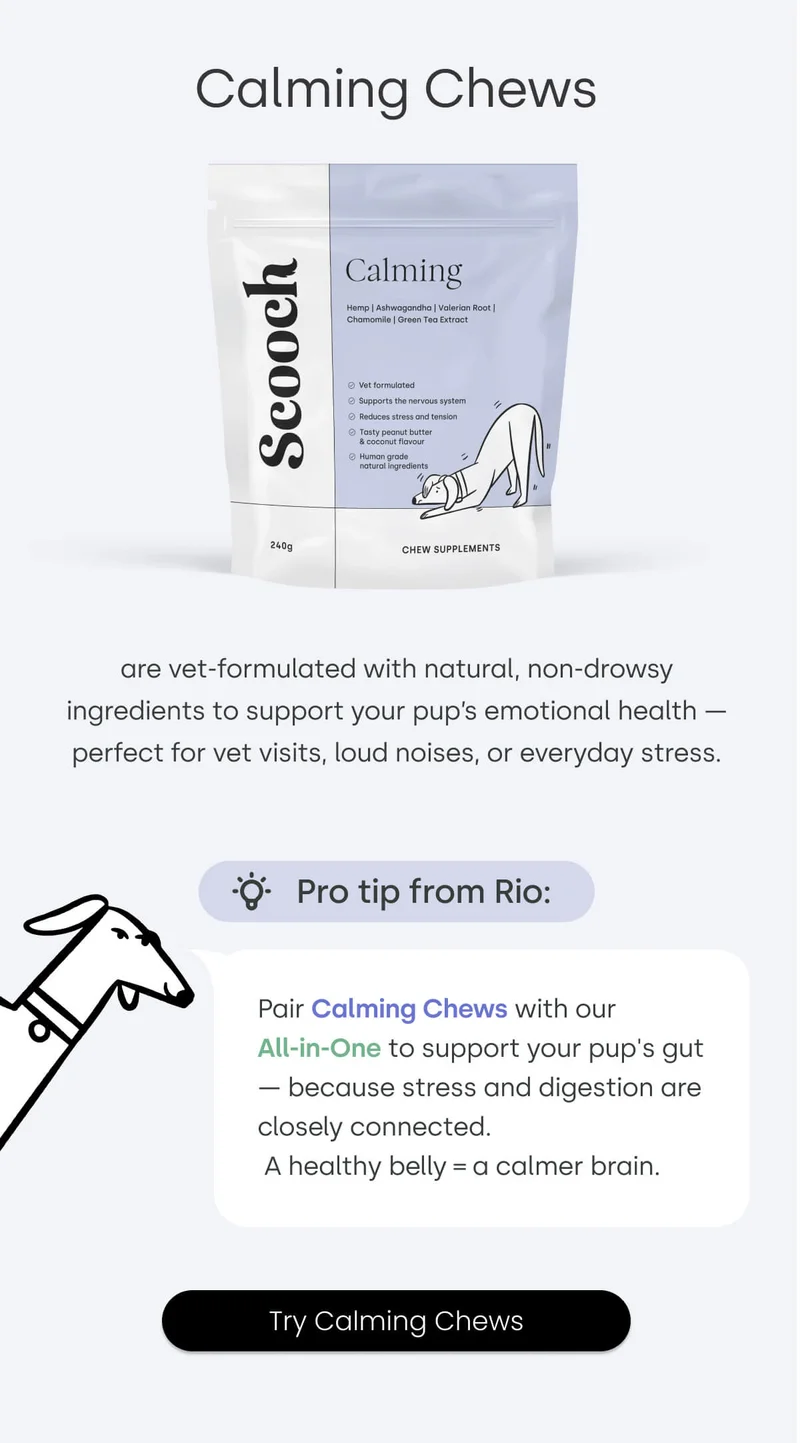 Shop Calming chews