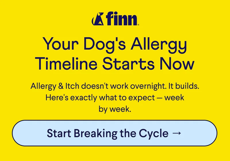 Finn logo. Text: Your Dog's Allergy Timeline Starts Now Allergy & Itch doesn't work overnight. It builds. Here's exactly what to expect — week by week. CTA: Start Breaking the Cycle →