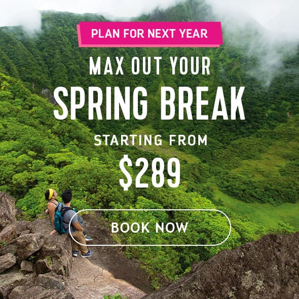 MAX OUT YOUR SPRING BREAK