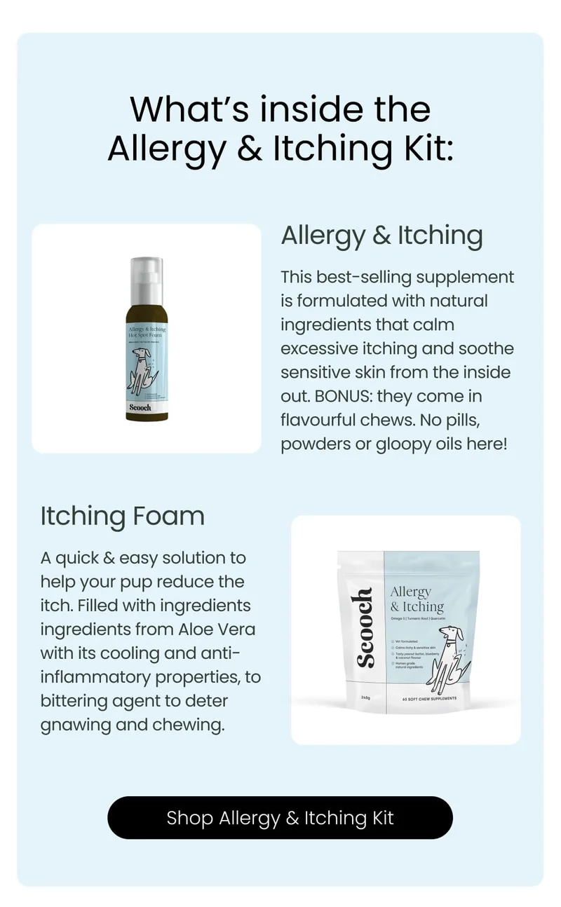 Shop Allergy & Itching Kit