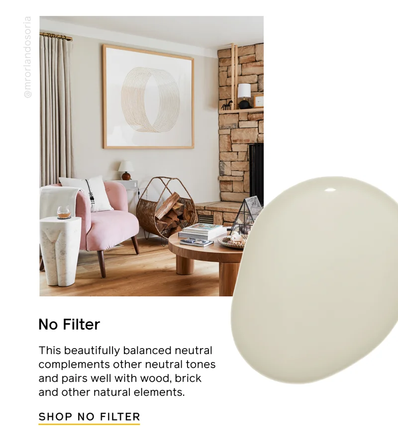 No Filter. This beautifully balances neutral complements other neutral tones and pairs well with wood, brick and other natural elements. SHOP NO FILTER
