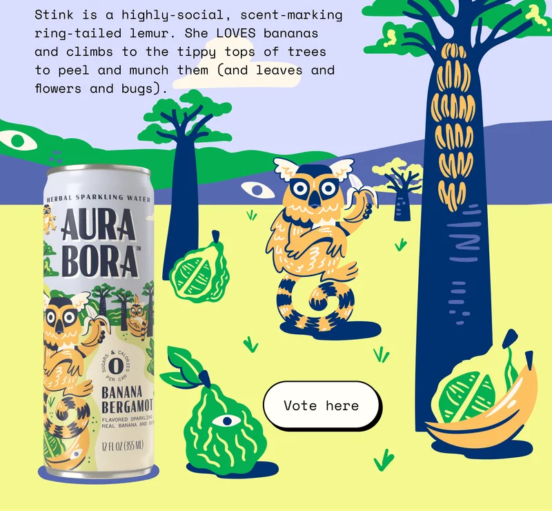 aura bora lemur donations