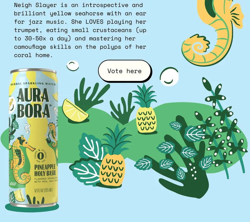 aura bora donations