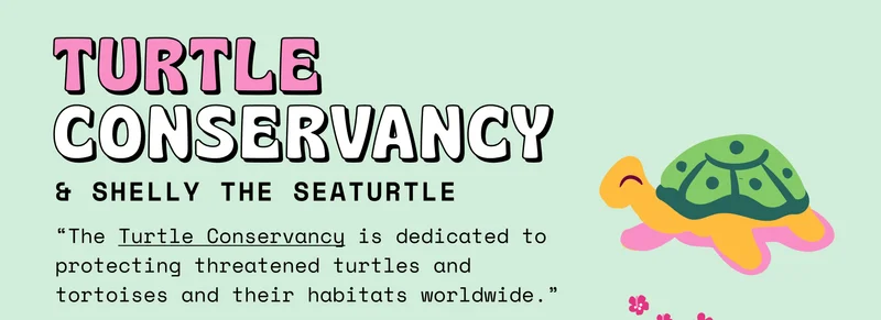 turtle conservancy