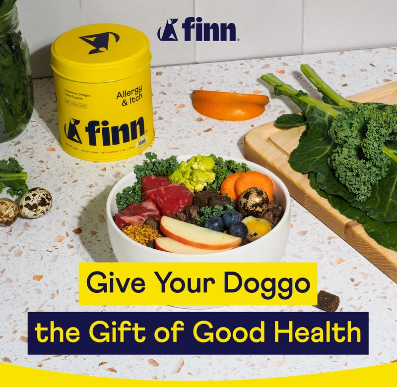 Give Your Doggo the Gift of Good Health