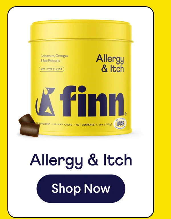 Allergy & Itch Soft Chew Supplement