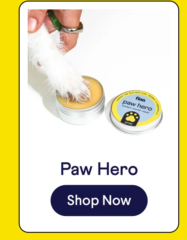 Paw Hero | lick-safe paw balm | Shop Now