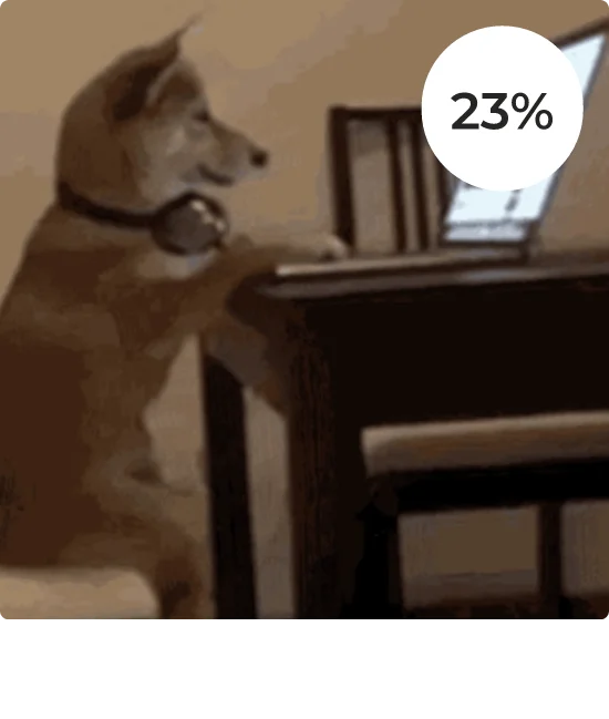 A dog looking at a laptop.