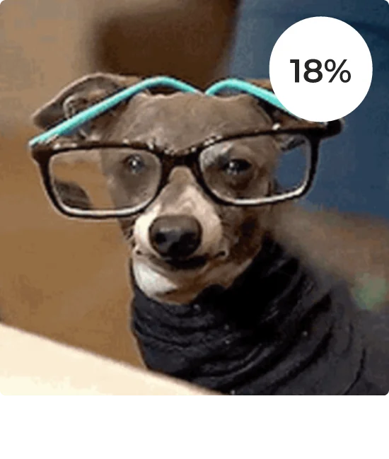 A dog with glasses.