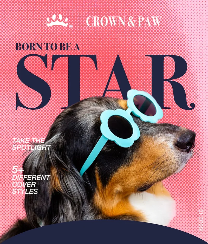 Born to be a Star