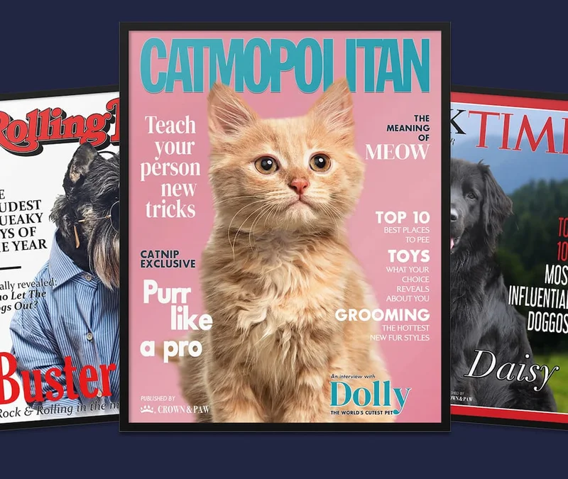 Catmopolitan, Rolling Bone and Walk TIME magazine covers