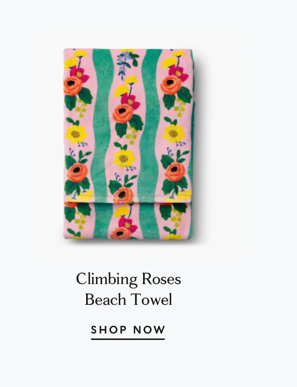 Shop Beach Towel