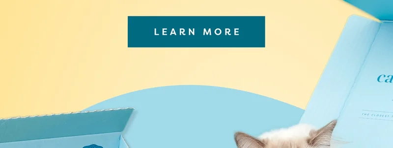 Discover what speedy eating could mean for your cat here. Learn more.