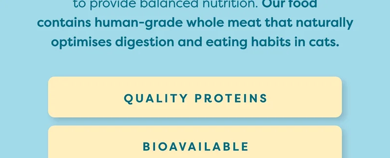 We’re here to the rescue. We offer high-protein&nbsp;gravy&nbsp;and&nbsp;jelly&nbsp;formulas to provide balanced nutrition.&nbsp;Our food contains&nbsp;human-grade&nbsp;whole meat that naturally optimises digestion and eating habits in cats.