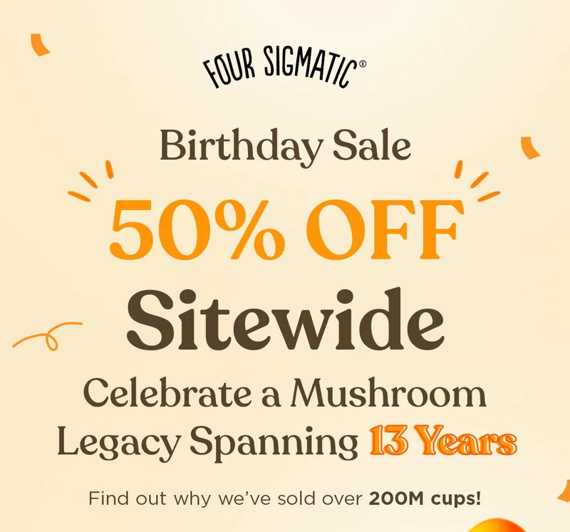 Birthday Sale 50% OFF Sitewide