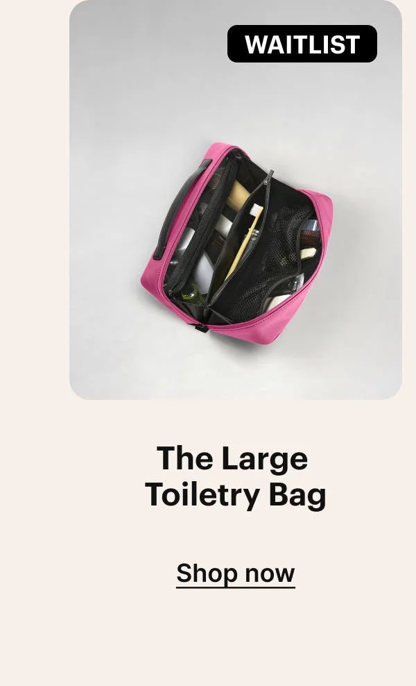The Large Toiletry Bag